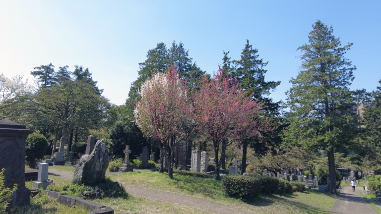 青山霊園の外国人墓地 | Aoyama walking