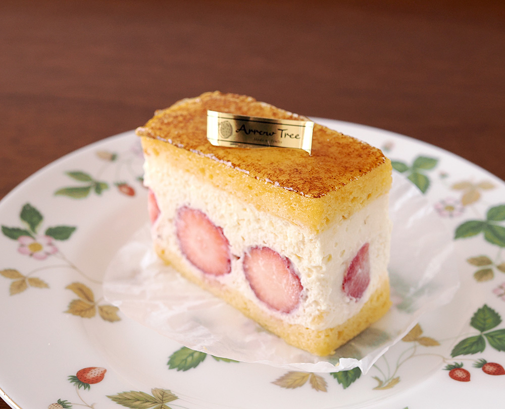 ARROW TREE Kobe Mousseline