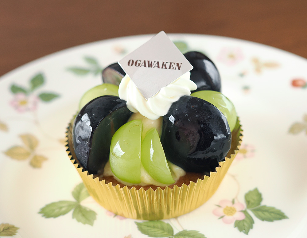 Paris Ogawaken Mont Blanc