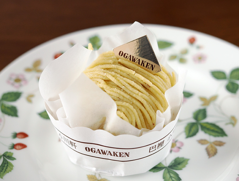 Paris Ogawaken Mont Blanc