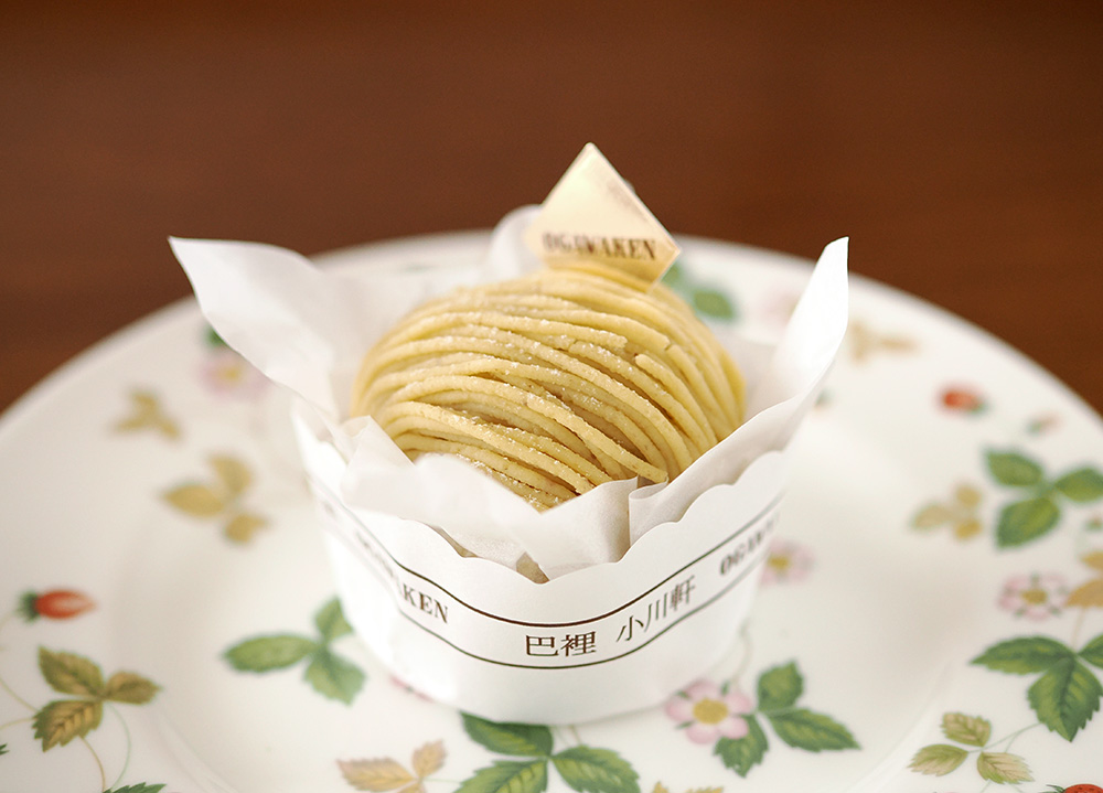 Paris Ogawaken Mont Blanc